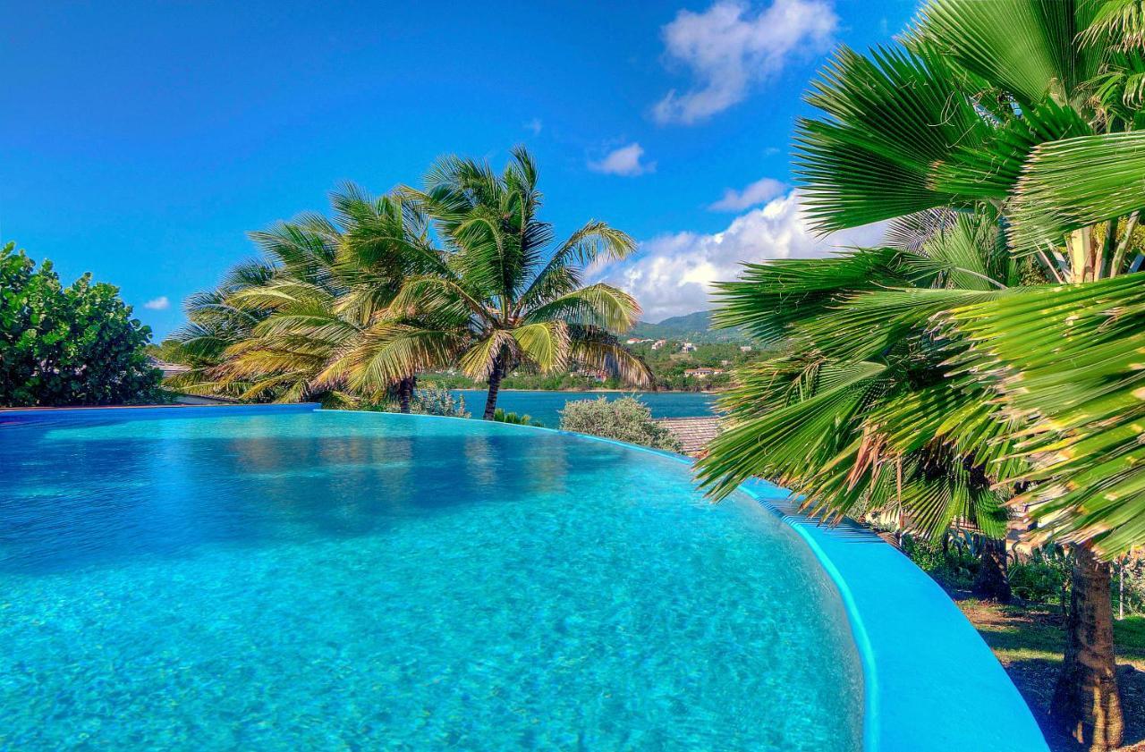 473 Grenada Boutique Resort St. George's Экстерьер фото