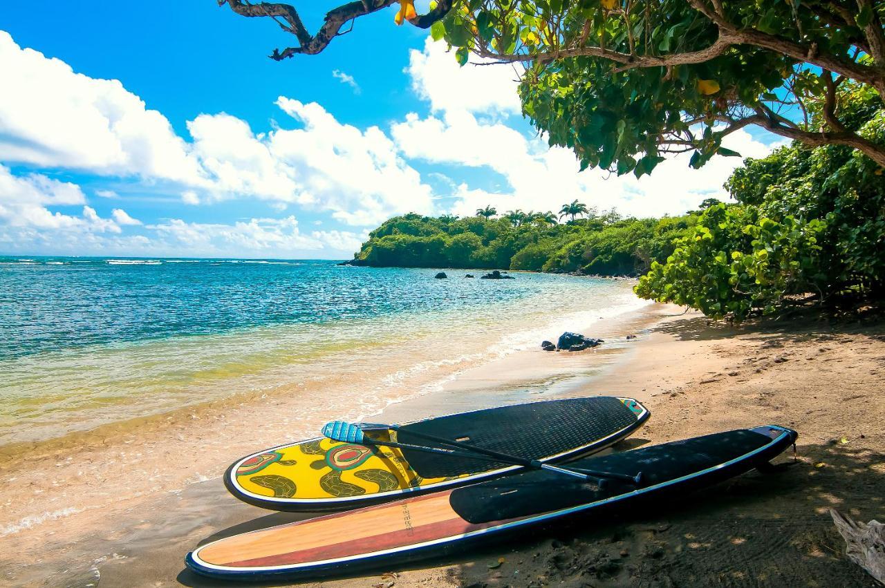473 Grenada Boutique Resort St. George's Экстерьер фото