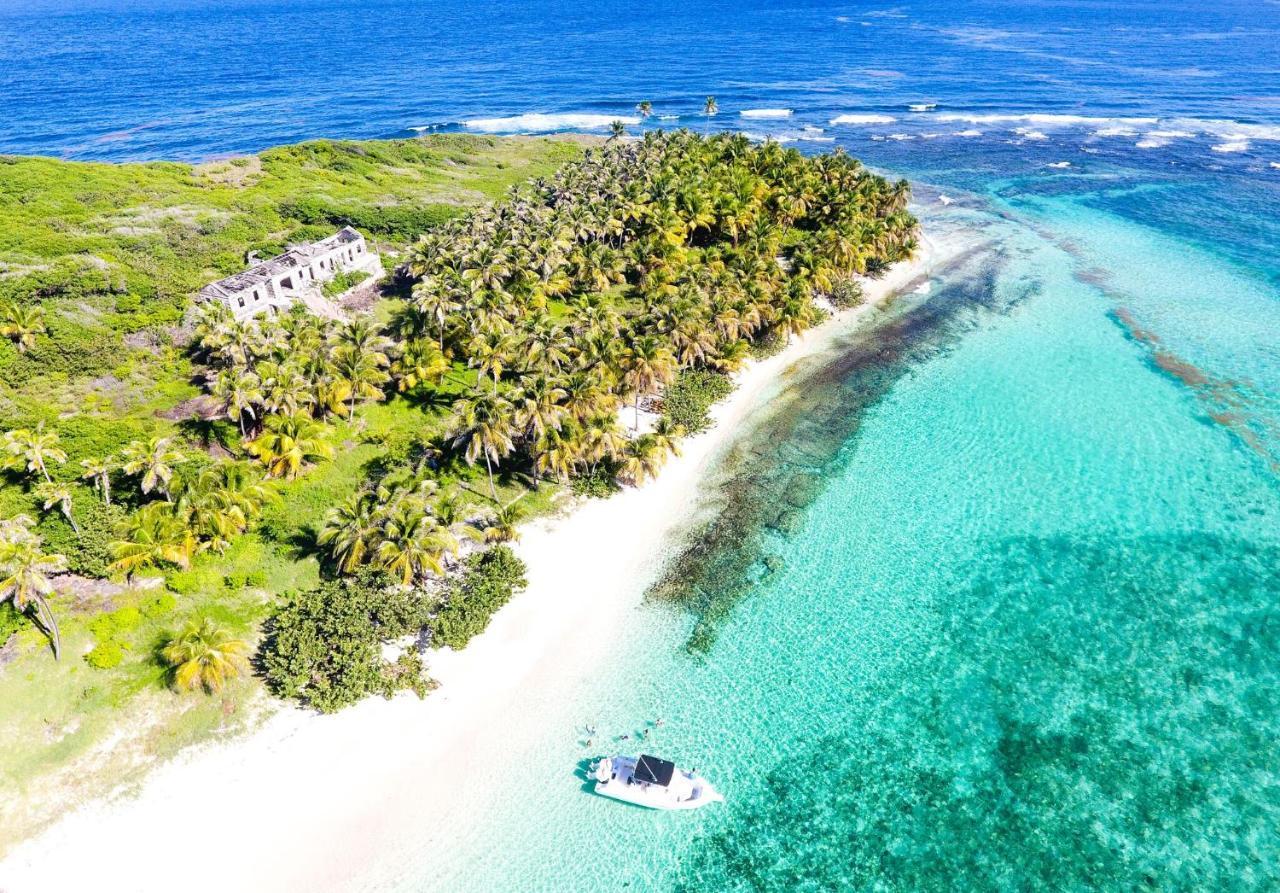 473 Grenada Boutique Resort St. George's Экстерьер фото